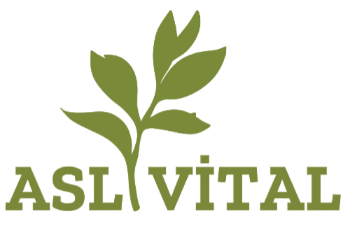Aslı Vital